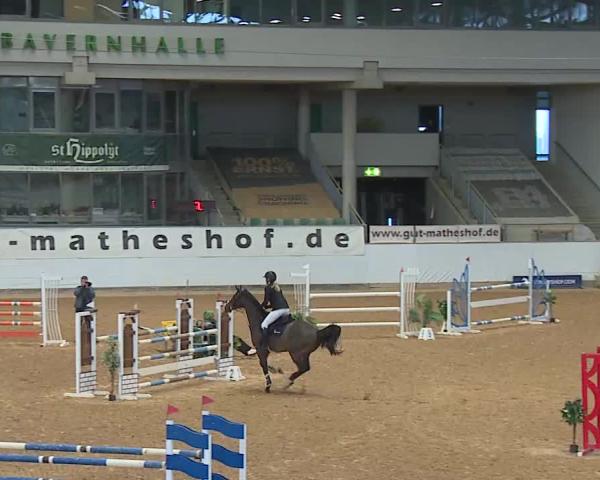 Reitturnier Kreuth/Opf. 2025