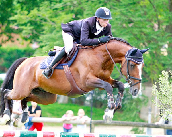 stallion Quilaime de Prissey (Selle Français, 2004, from Papillon Rouge)