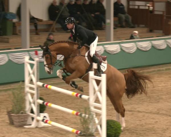 Reitturnier Gahlen 2026