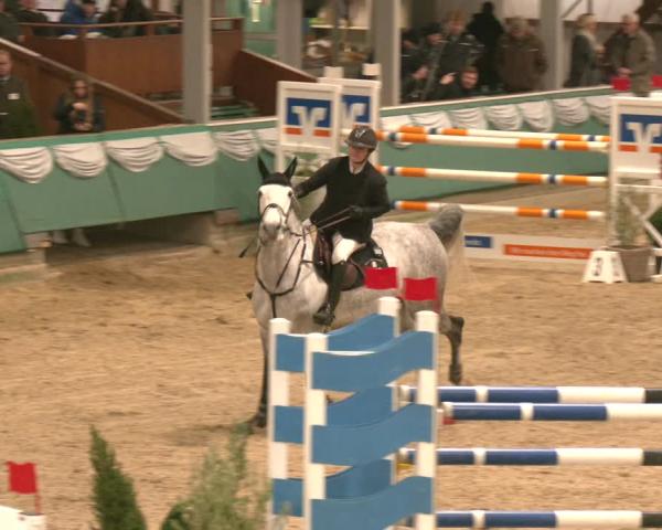 Reitturnier Gahlen 2026