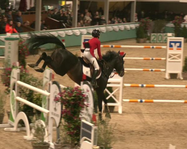 Reitturnier Gahlen 2026