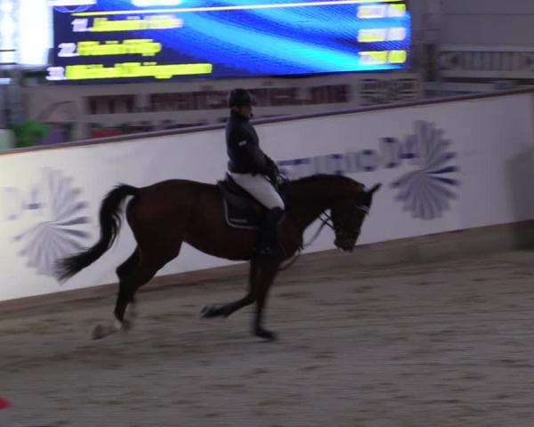 Reitturnier Prussendorf 2026