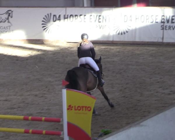 Reitturnier Prussendorf 2026