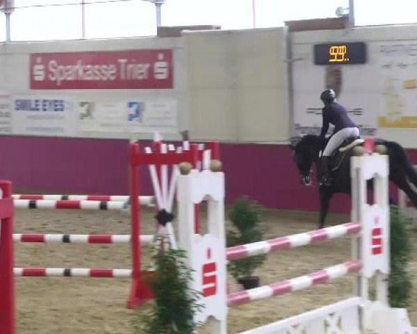 Trier - Hofgut Monaise 2014
