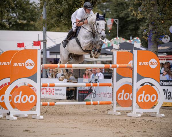 Koń skokowy Fuer Dich (Holsztyn, 2011, od For Fashion)