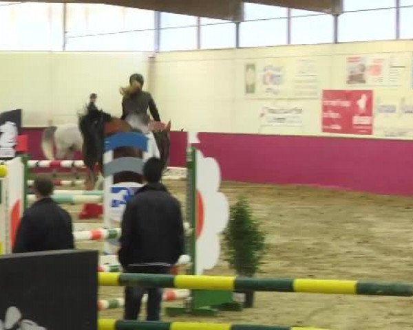 Trier - Hofgut Monaise 2014