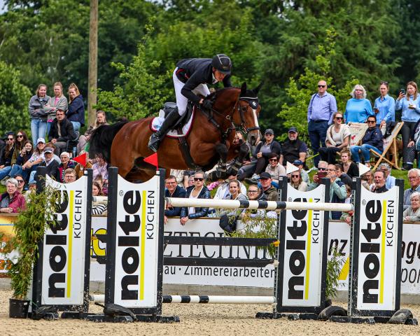 Cheval de saut Umeko (Westphalien, 2017, de United Touch S)