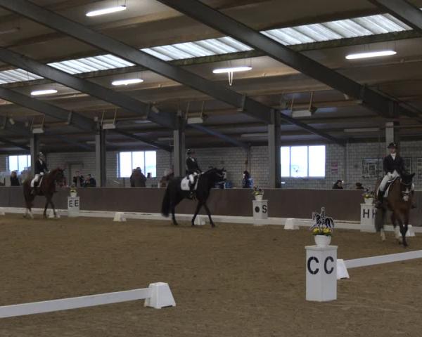 Reitturnier Bottrop-Kirchhellen 2026