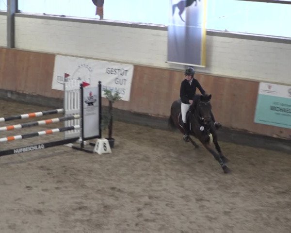 Reitturnier Grevenbroich - Gut Neuhaus 2021