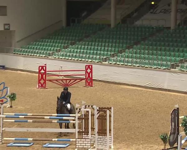 Reitturnier Kreuth/Opf. 2026