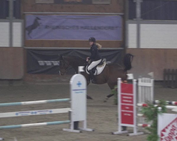 Reitturnier Grevenbroich - Gut Neuhaus 2021