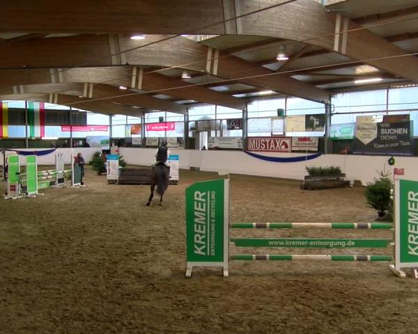 Reitturnier Velen 2026