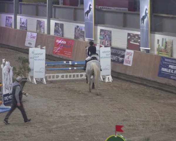 Reitturnier Grevenbroich - Gut Neuhaus 2021