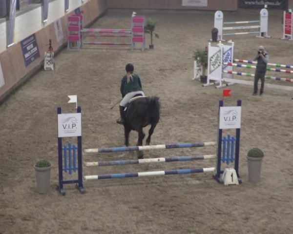 Reitturnier Grevenbroich - Gut Neuhaus 2021