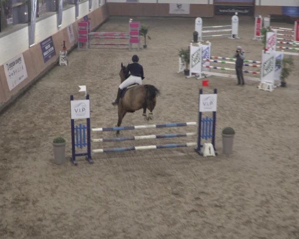 Reitturnier Grevenbroich - Gut Neuhaus 2021