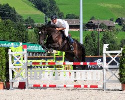 jumper Ipsylon van de Noordheuvel (Belgian Warmblood, 2008, from Clinton)