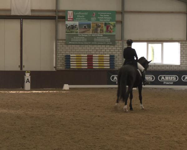 Reitturnier Bottrop-Kirchhellen 2026