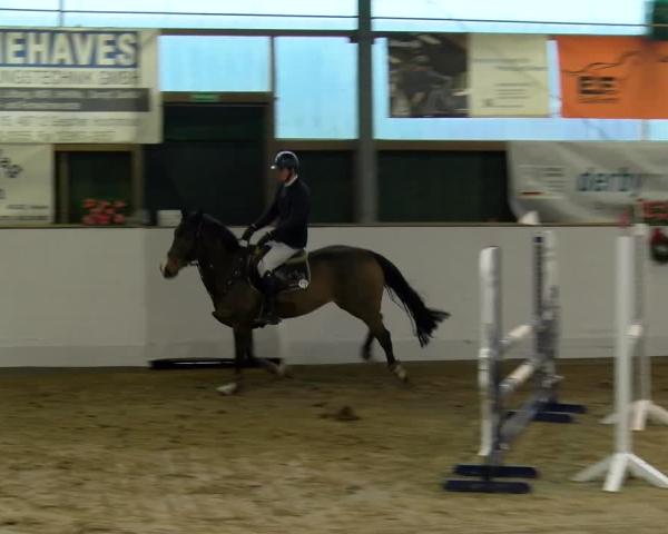 Reitturnier Velen 2026