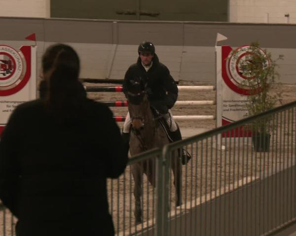 Reitturnier AZL Luhmühlen 2026