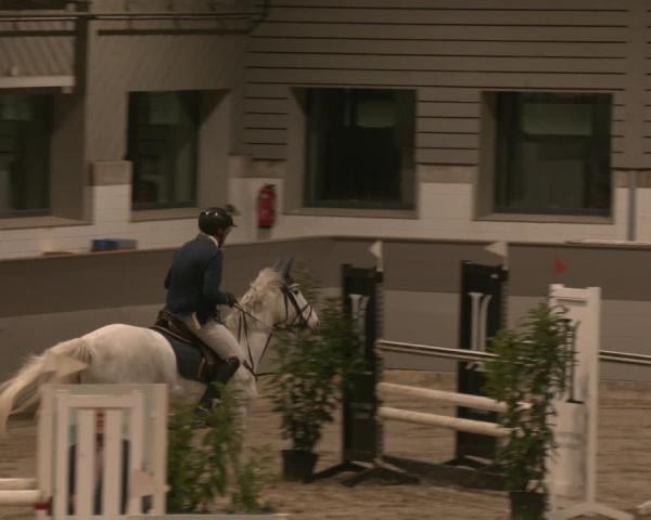 Reitturnier AZL Luhmühlen 2026