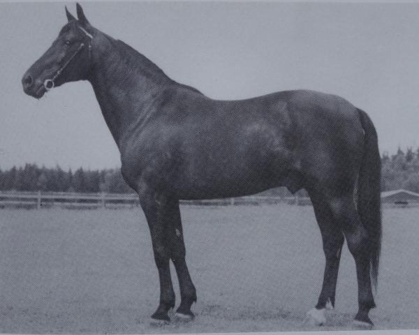 Deckhengst Armbro Jet 9727F (US) (Amerikanischer Traber, 1966, von Star's Pride 80141 (US))