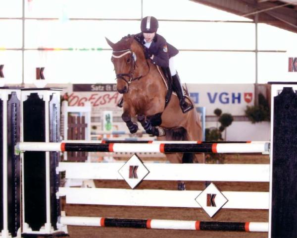 Springpferd Top Braveheart (Deutsches Reitpony, 1996, von Unbekannt Pony)