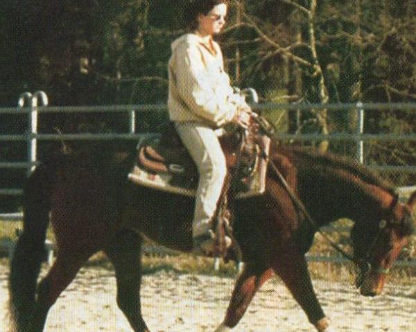 Kůň Spotty´s (Appaloosa, 1999, od Featureing Goer)