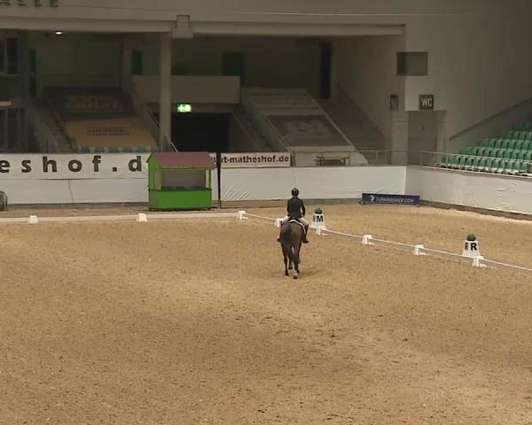 Reitturnier Kreuth 2026