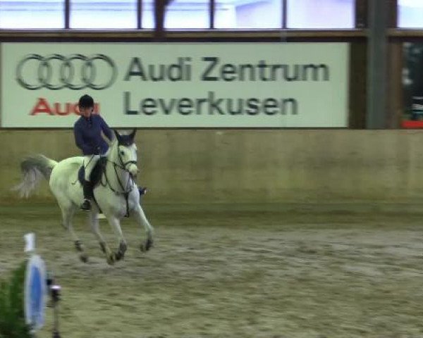 Köln-Leverkusen 2014