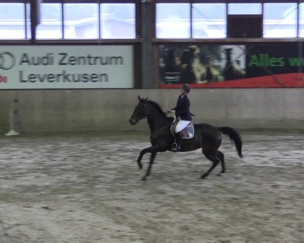 Köln-Leverkusen 2014