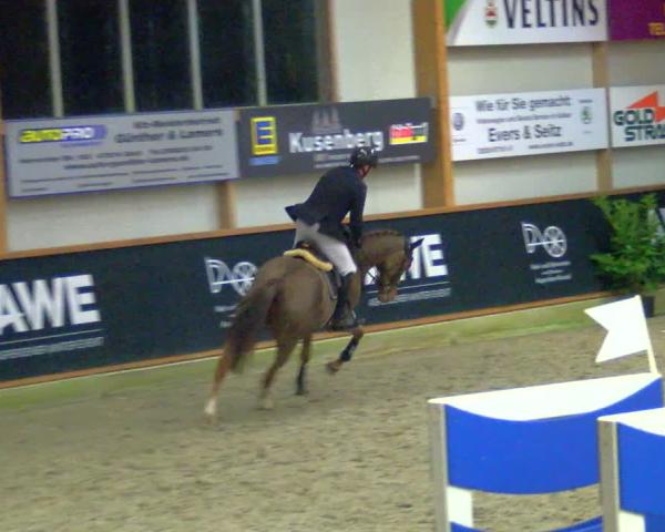 Reitturnier Goch-Asperden 2026