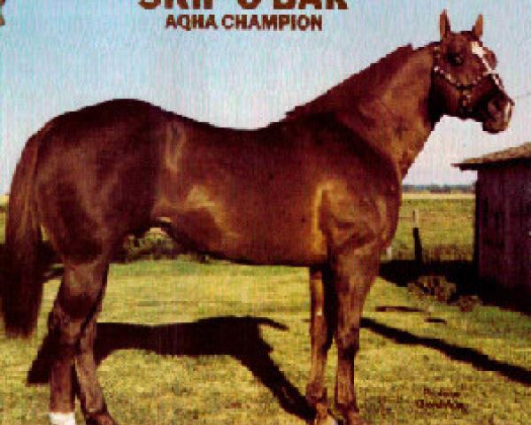 Plemeník Skip O Bar (Quarter Horse,  , od Bar Mount)