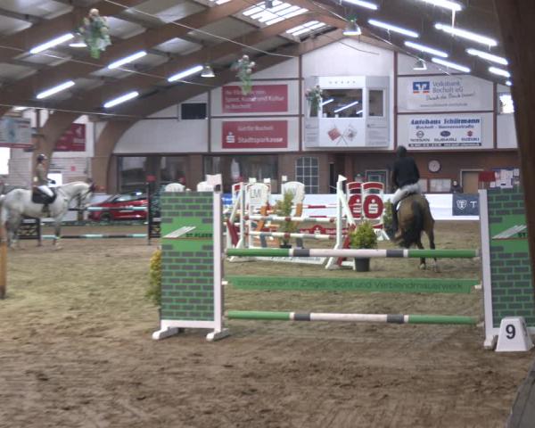 Reitturnier Barlo-Bocholt 2026