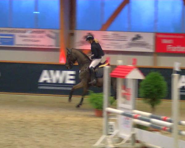 Reitturnier Goch-Asperden 2026