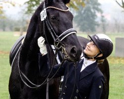 dressage horse Jazzy Queen (Westphalian, 2008, from Jazz Rubin)