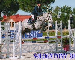 jumper Virgule du Milon (Connemara Pony, 2009, from Simoun de Ravary)