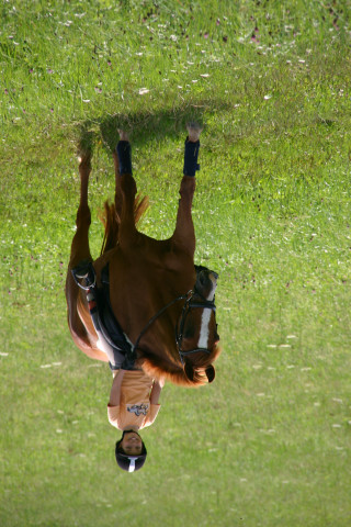 dressage horse San Gabriel (Oldenburg, 1996, from San Fernando 3)