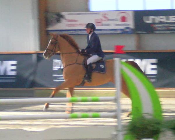 Reitturnier Goch-Asperden 2026