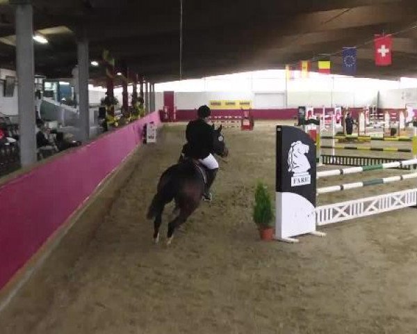 Trier - Hofgut Monaise 2014