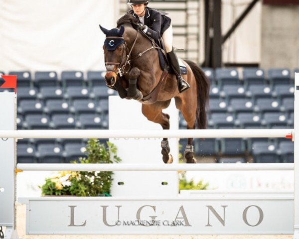 jumper Enjoy Louis (Belgian Warmblood, 2004, from Coriano)