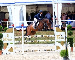 broodmare Grace S 4 (Bavarian, 2013, from Cajados)