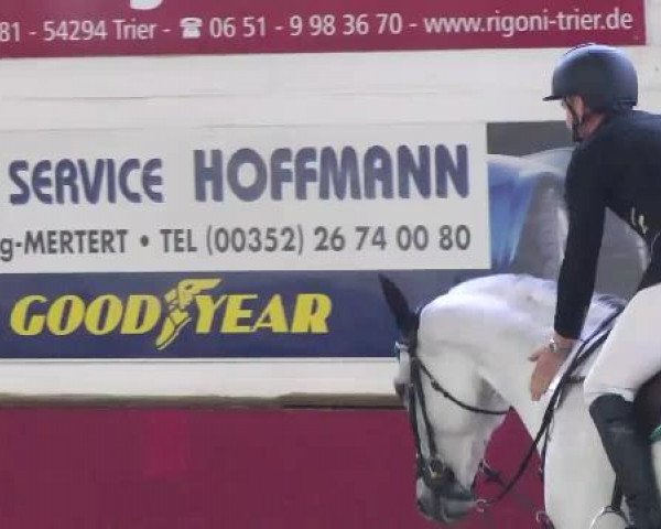 Trier - Hofgut Monaise 2014