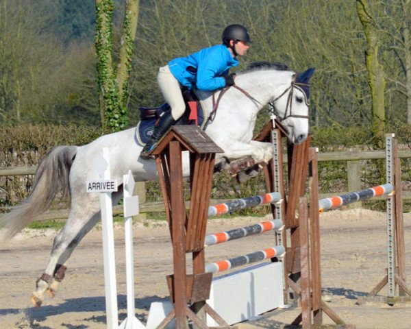 horse Venetie du Milon (Selle Français, 2009, from Norton d'Eole)