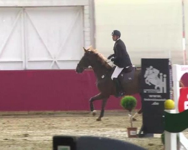 Trier - Hofgut Monaise 2014