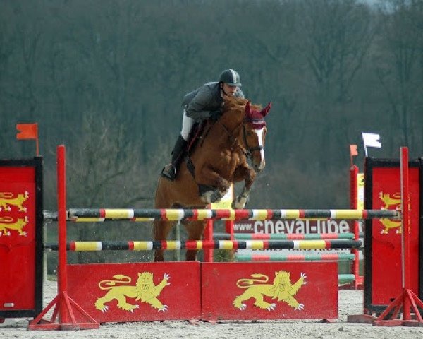 Springpferd On Line du Milon (Selle Français, 2002, von Paladin des Ifs)