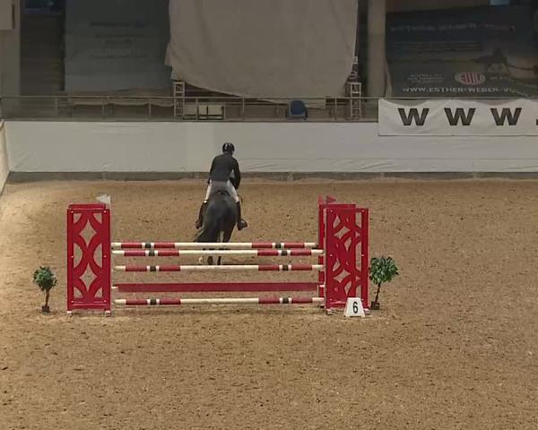 Reitturnier Kreuth/Opf. 2026