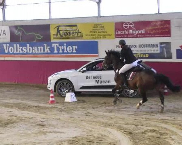 Trier - Hofgut Monaise 2014