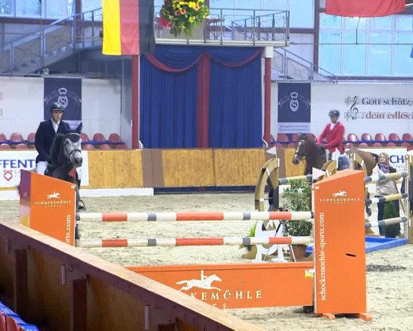 12. Hallenchampionat Vechta