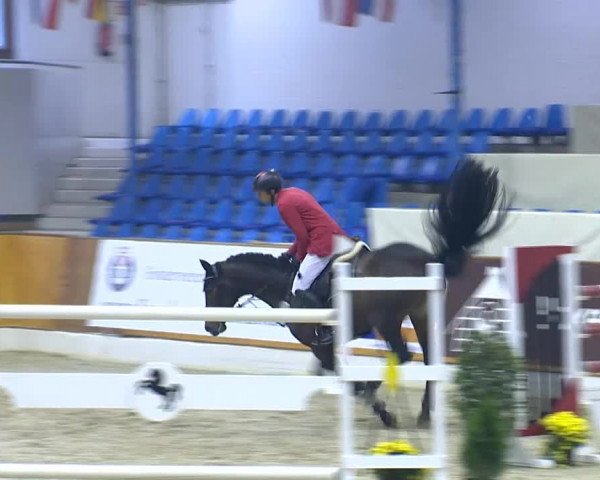12. Hallenchampionat Vechta