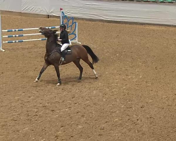 Reitturnier Kreuth/Opf. 2026